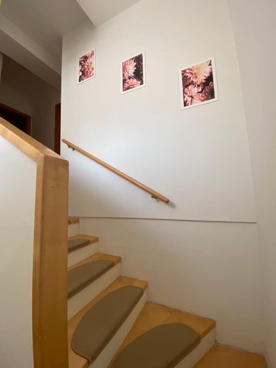 Apartment HB Moravske Toplice Apartment in Slovenia