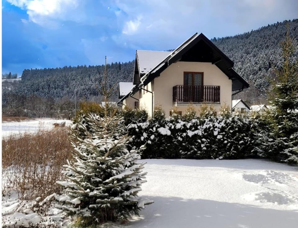 Property building, Winter, Mountain view