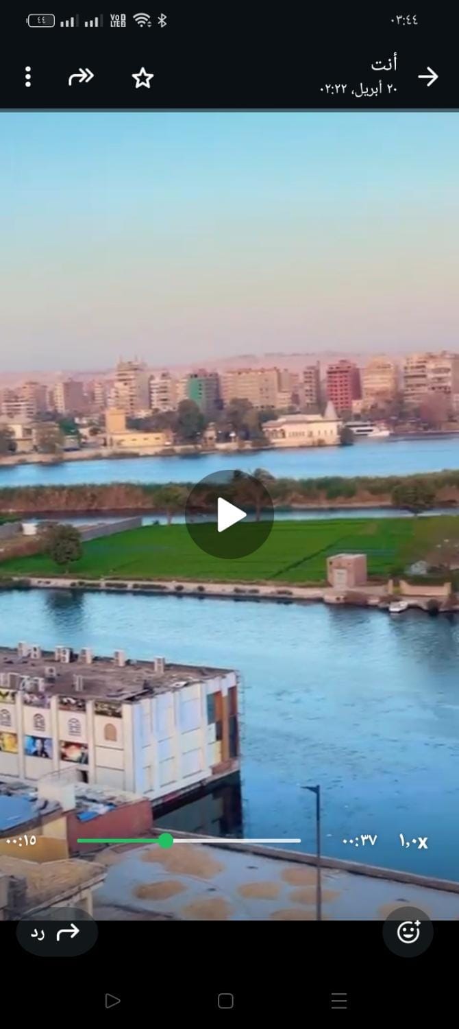 شقه فندقيه Apartment in Cairo