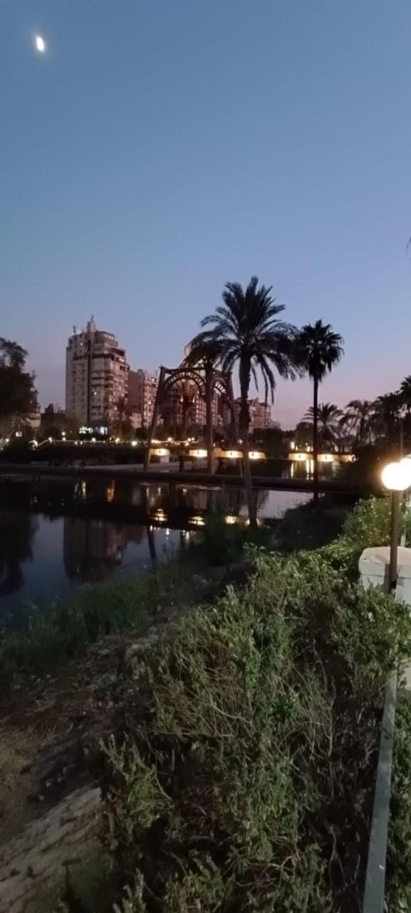 شقه فندقيه Apartment in Cairo