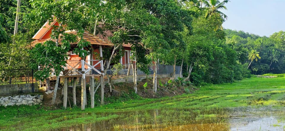 Day, Natural landscape