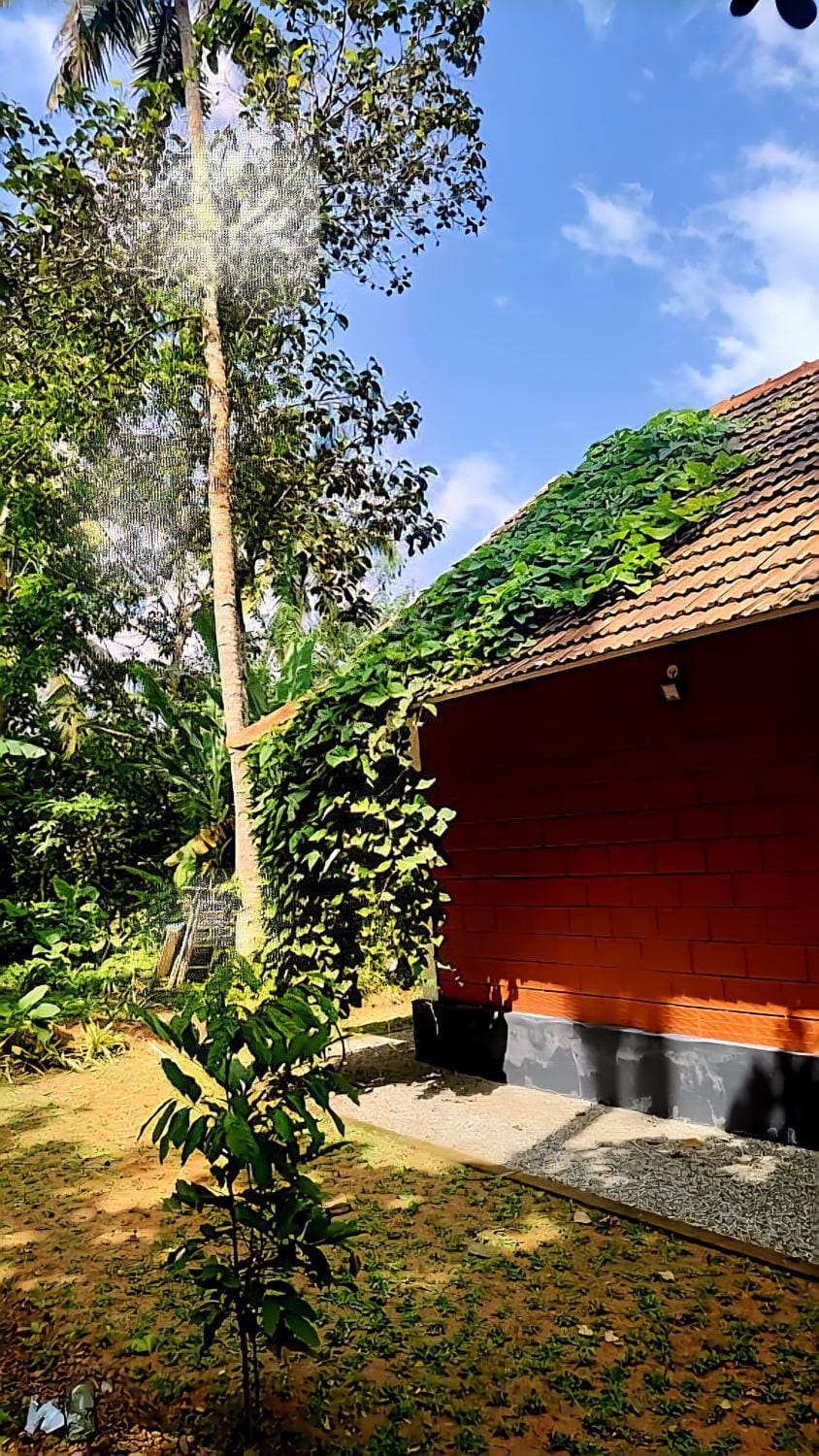 Property building, Natural landscape, Garden