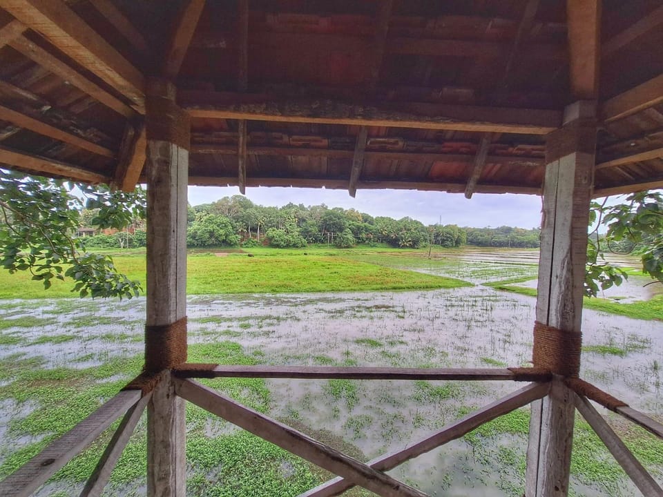 Day, Natural landscape, View (from property/room)