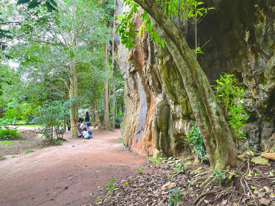 Natural landscape