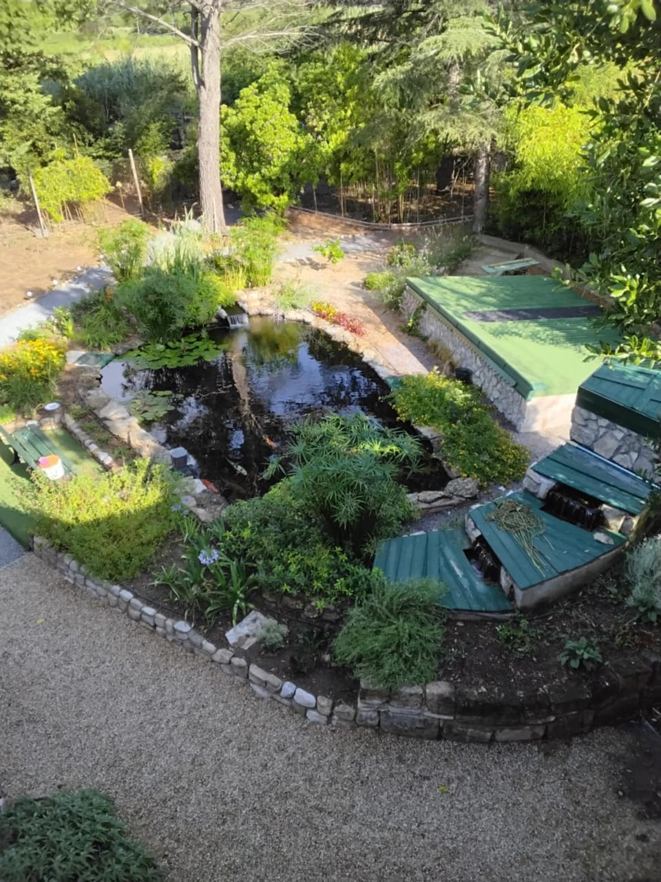 Garden view