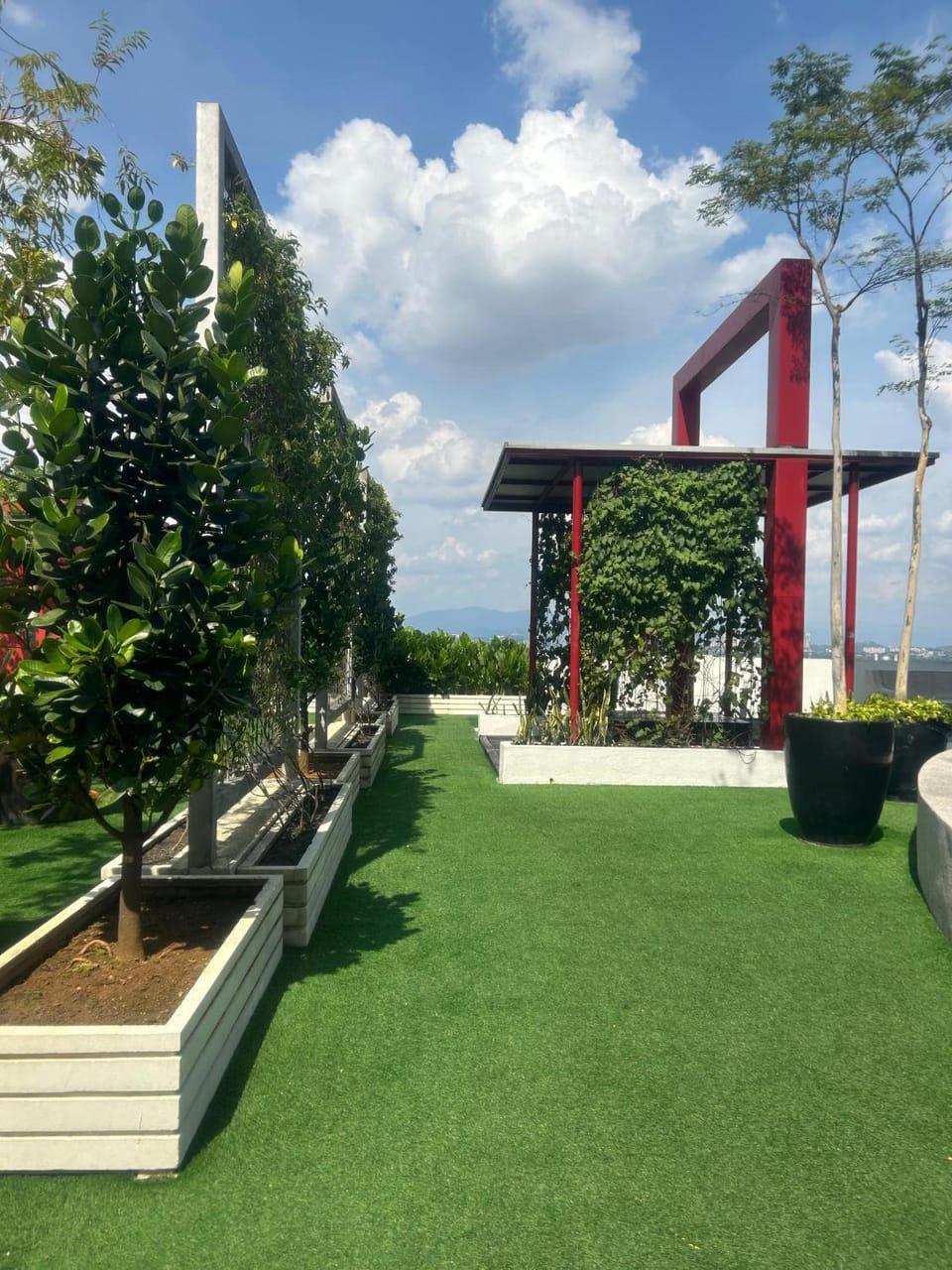 Garden view