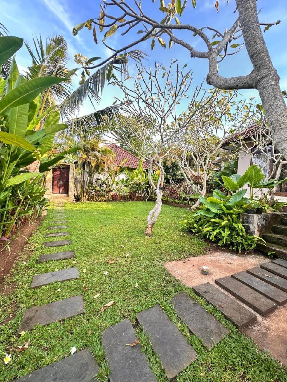 Natural landscape, Garden, Garden, Garden view