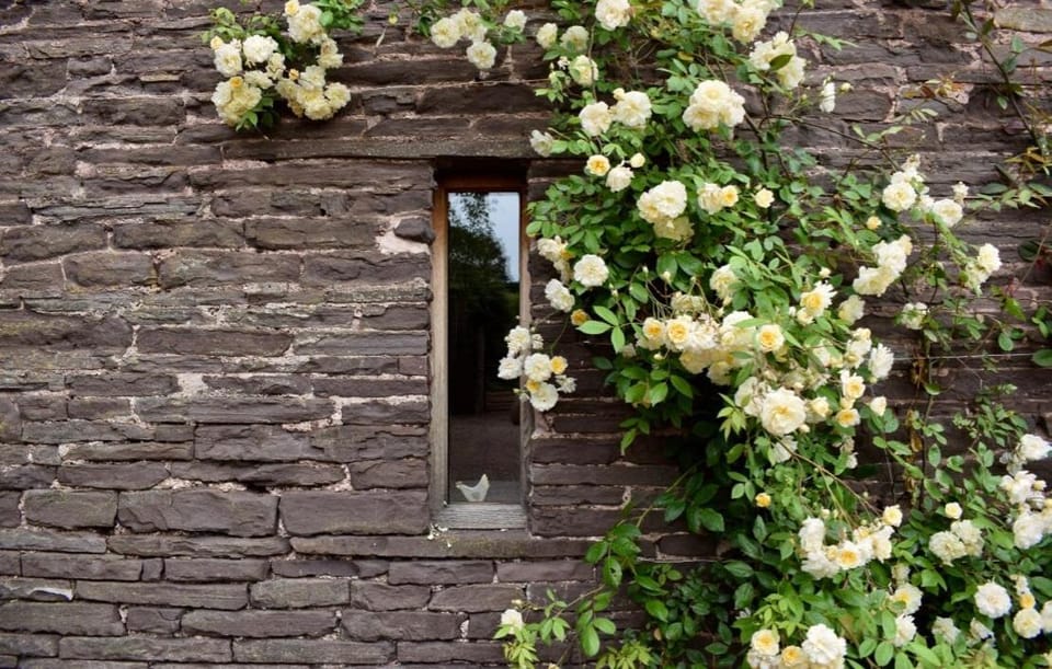 Hot Tub, Stream-Side Garden, Mountain Views, 17thC House in Crucorney