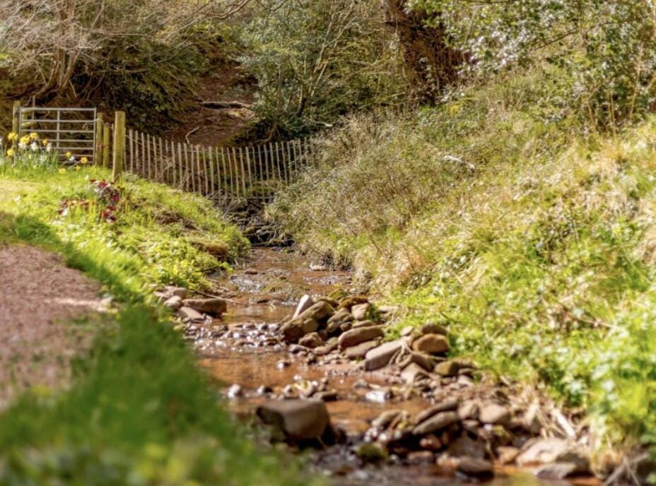 Hot Tub, Stream-Side Garden, Mountain Views, 17thC House in Crucorney