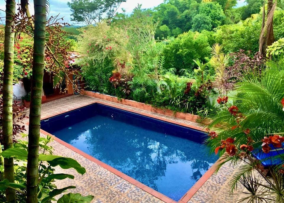 Garden view, Swimming pool