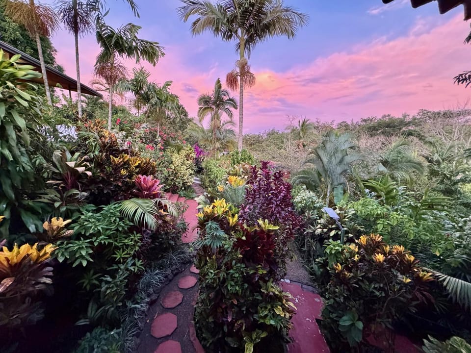 Garden view, Sunset