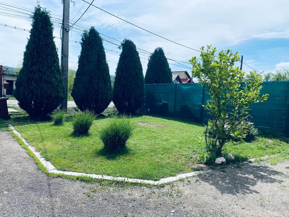 Day, Garden, Garden view