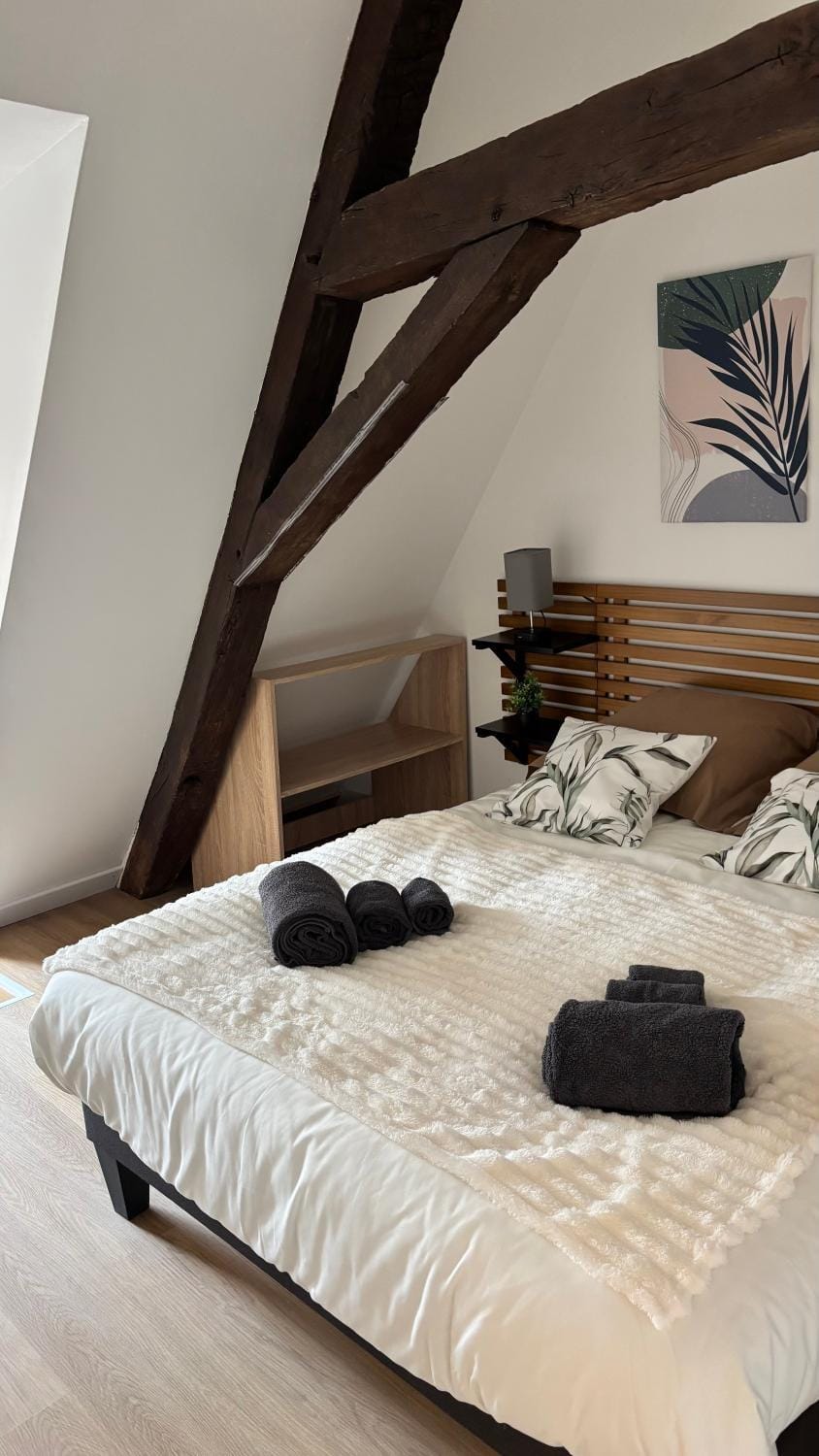 Nevers nature Apartment in Bourgogne-Franche-Comté