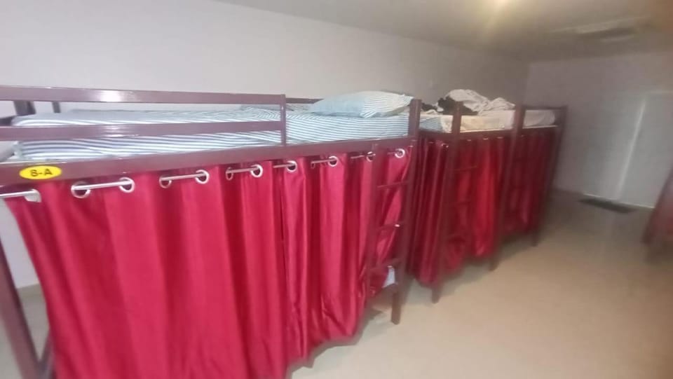 Bed, Photo of the whole room, bunk bed