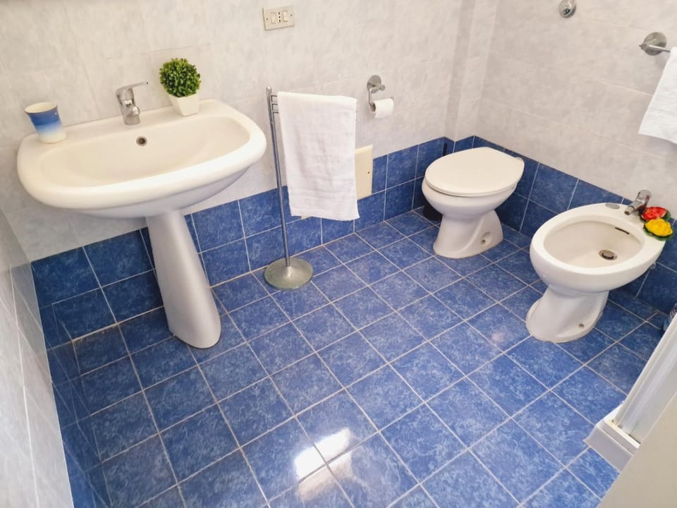 Toilet, Bathroom, bidet