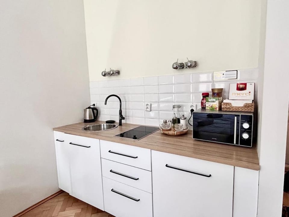 Studio Oliver Apartment in Prague