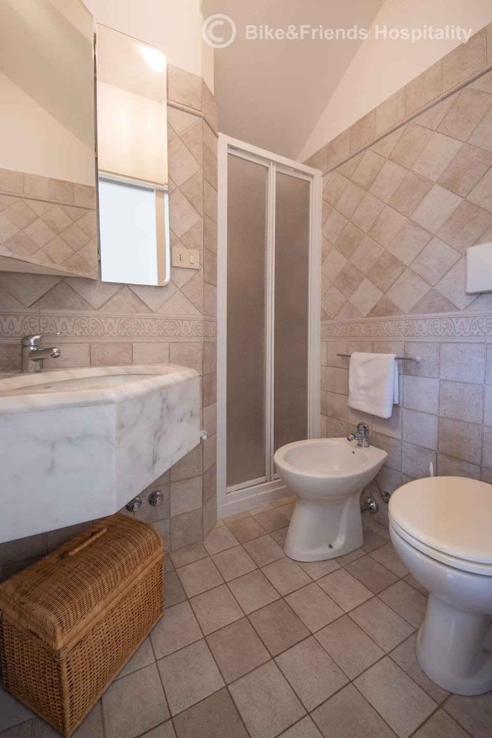 Shower, Toilet, Bathroom, bidet