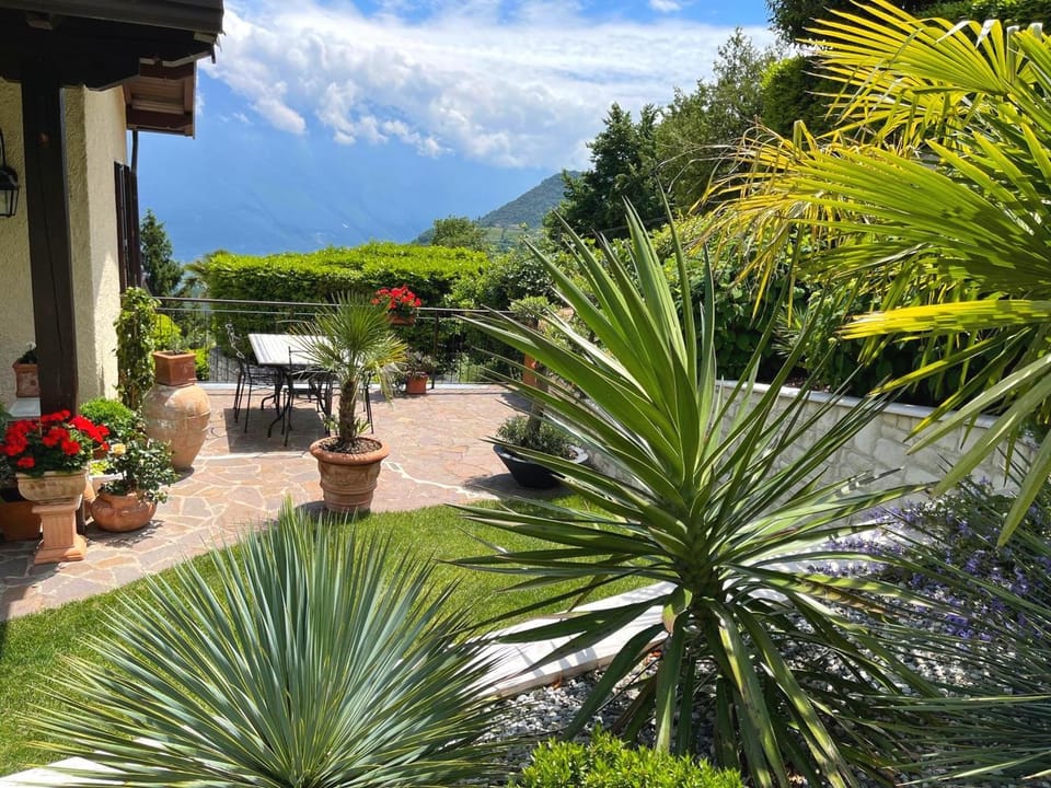 Patio, Garden, Garden view