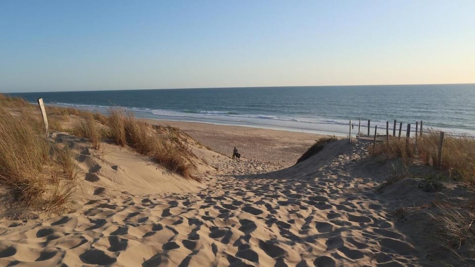 Nearby landmark, Beach