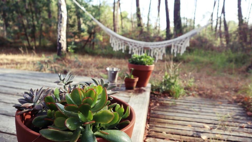 Patio, Balcony/Terrace