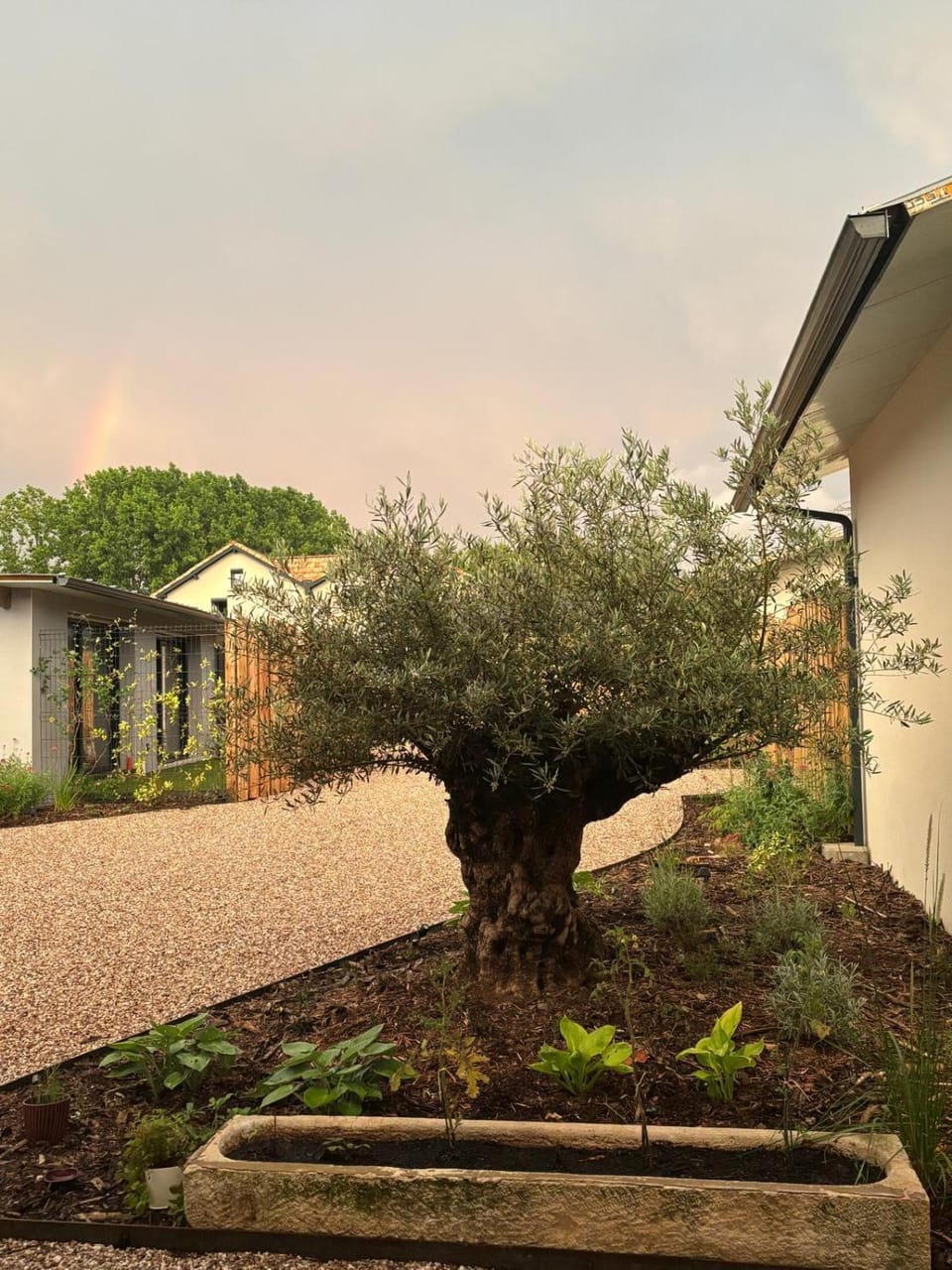 Garden view