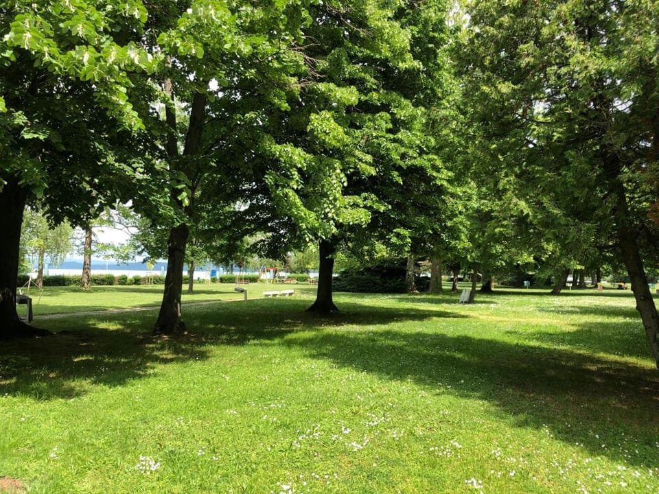 Garden, Garden, Garden view