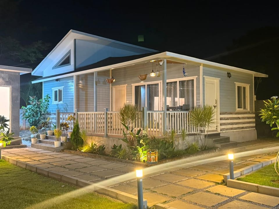 Patio, Night, Garden view