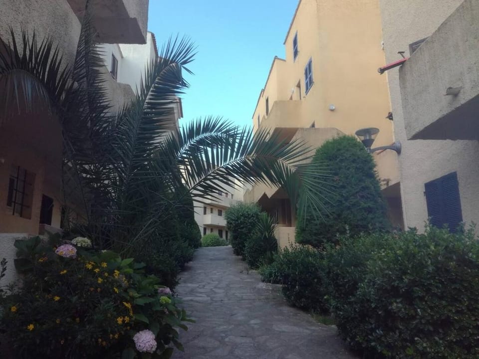 T2 log entier Porticcio 35m piscine-mer-resto 400m Apartment in Ajaccio