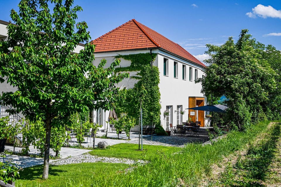 Property building, Garden view