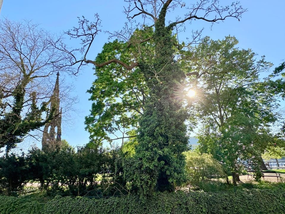 City view, City view, Garden view