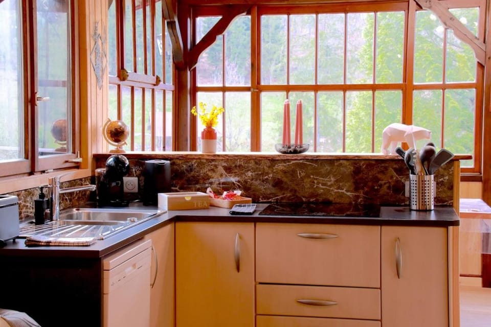 Kitchen or kitchenette, stove