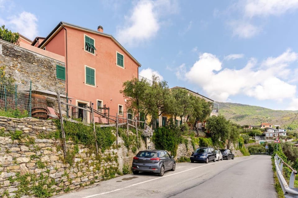 Neighbourhood, Street view