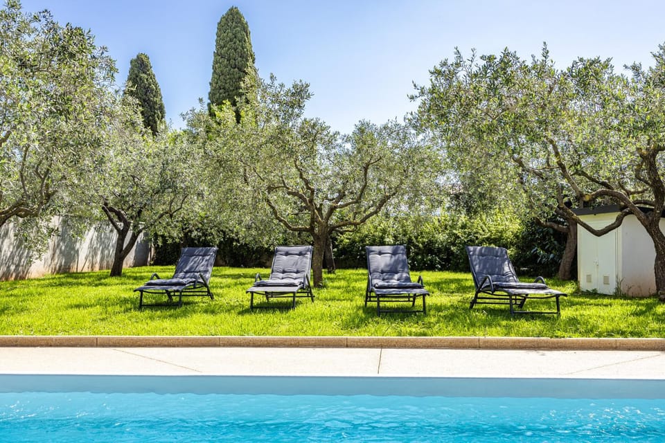 Garden view, Swimming pool, sunbed