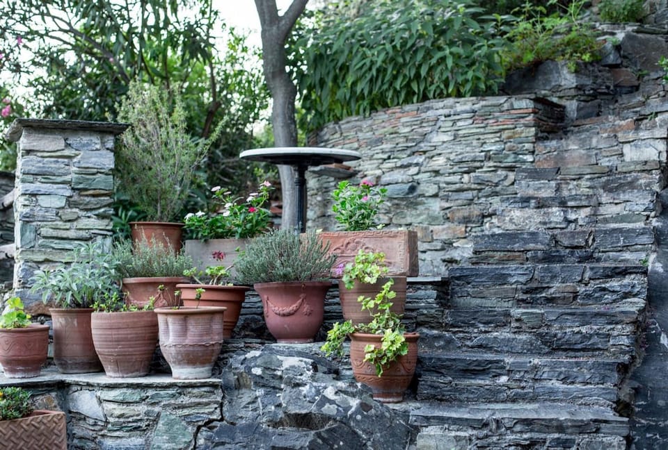 Garden view