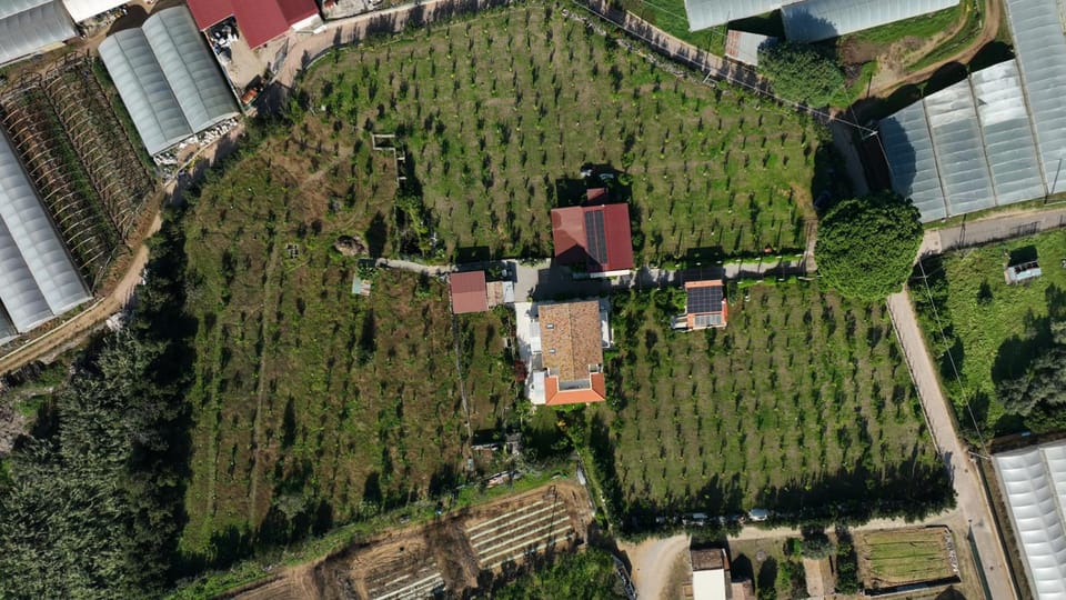 Bird's eye view, Garden