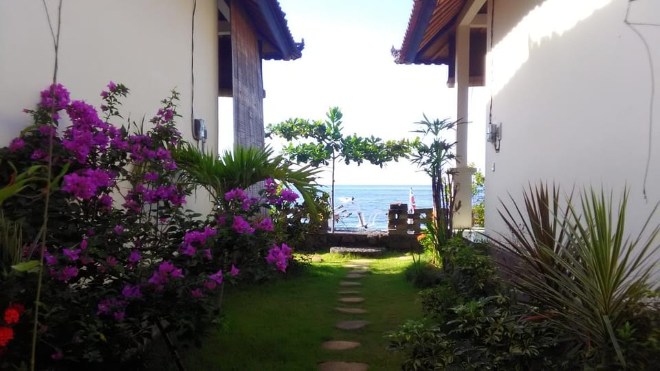 Inner courtyard view