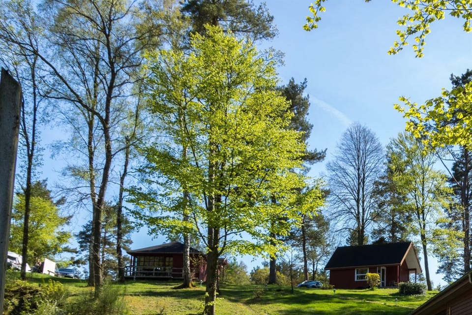 Property building, Natural landscape
