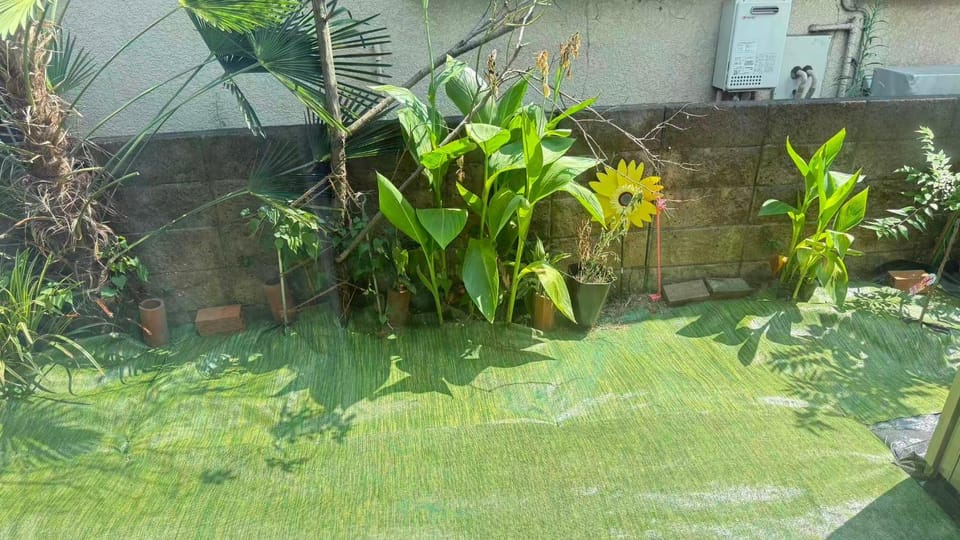Patio, Balcony/Terrace, Inner courtyard view