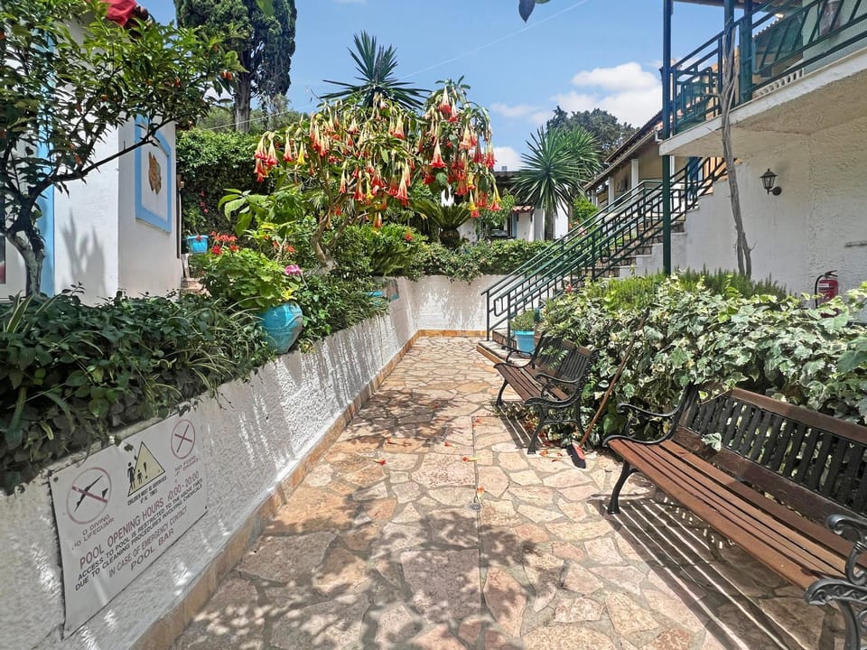 Day, Garden, Garden view
