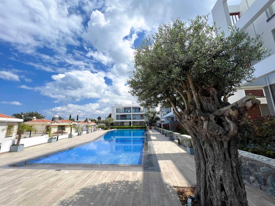 Day, Pool view, Swimming pool, Swimming pool