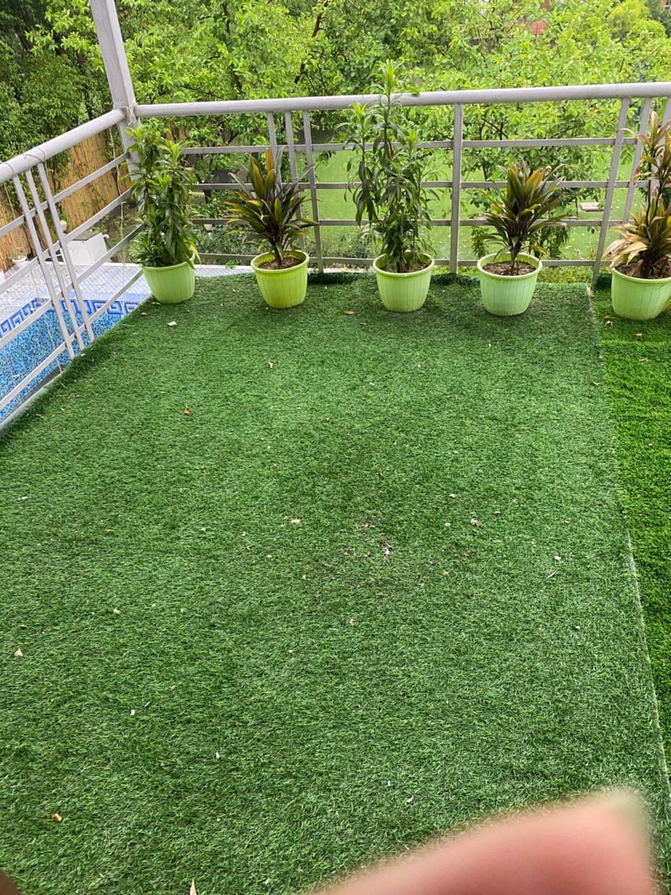 Paradise Farm Stay in Noida