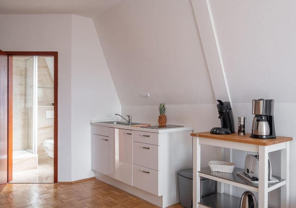 Ferienhaus-La-Perla-Apartment-Seensucht Apartment in Konstanz
