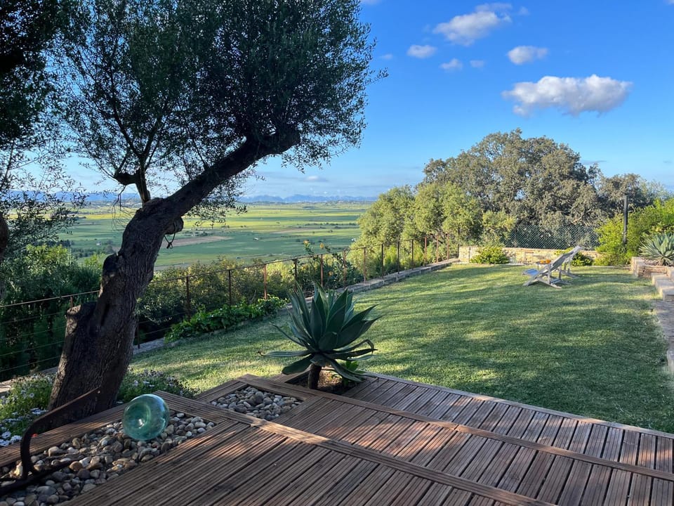 Garden view