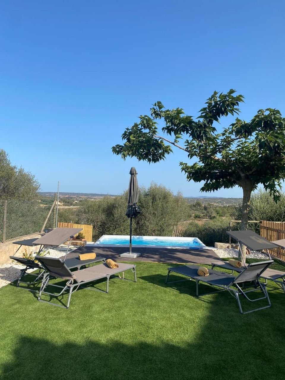 Garden, Garden view, Pool view, sunbed