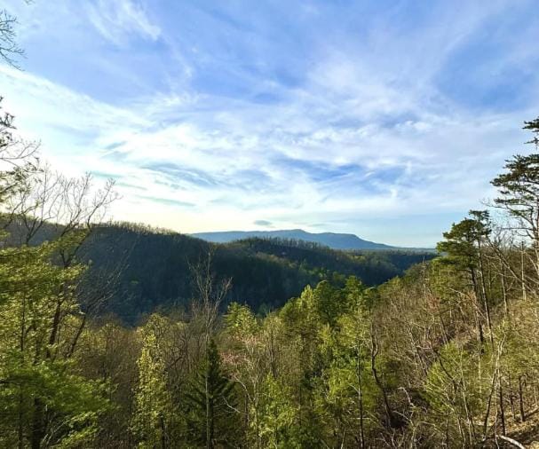 Cascades Escape – Luxury Cabin with Mountain Views, Game Room & Hot Tub Cabin in Sevier County