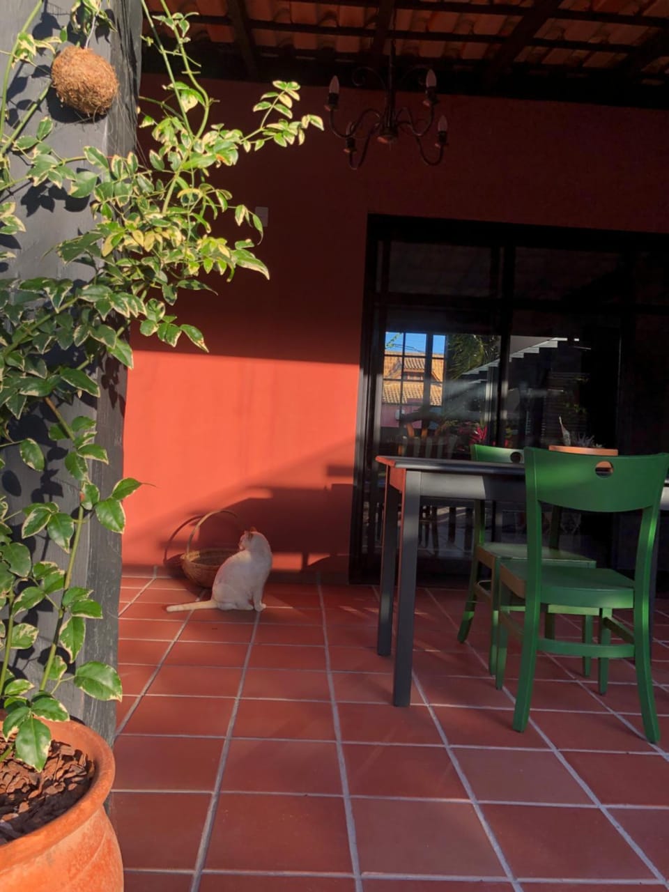 Balcony/Terrace