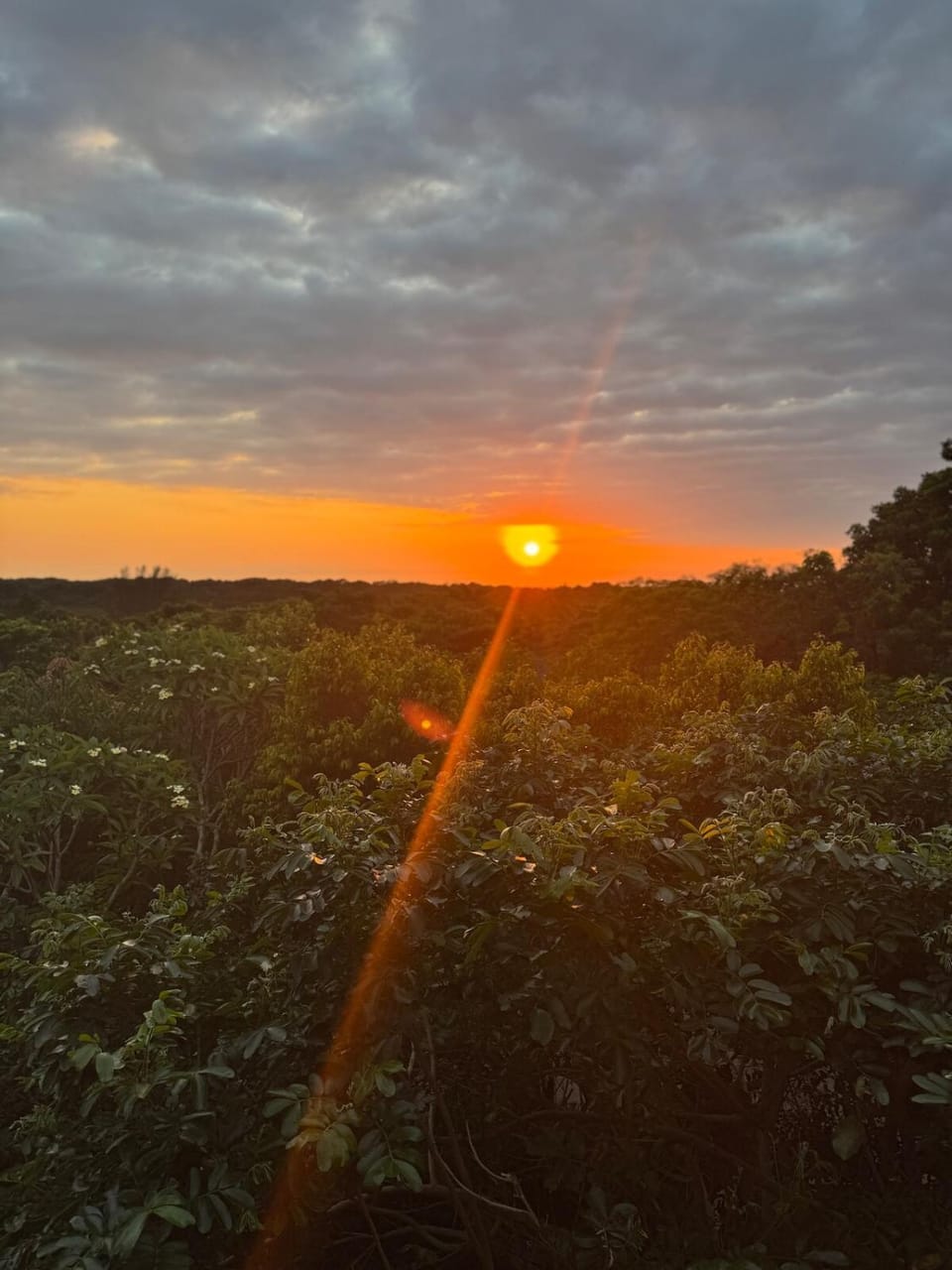 Natural landscape