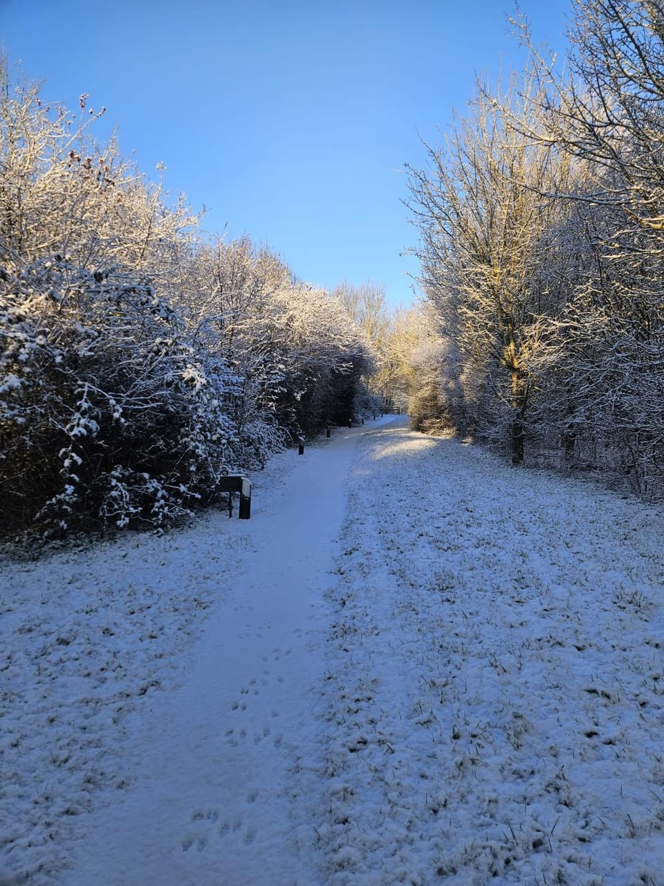 Silver Birch Nabb Lane Woods Hot tub near Alton Towers Apartment in Staffordshire Moorlands District