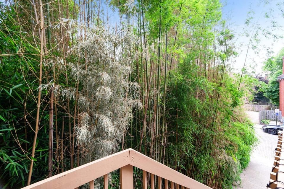 Garden, Balcony/Terrace, Garden view