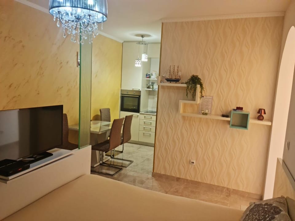 Seaside Studio 2 Apartment in Kotor Municipality